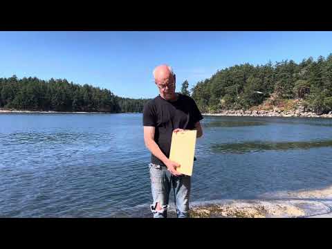 Monster In Area Sign | Handmade | Ogopogo | Loch Ness monster | Mythical Creature | Pool and Hot tub décor | Ocean | Beach | Lake