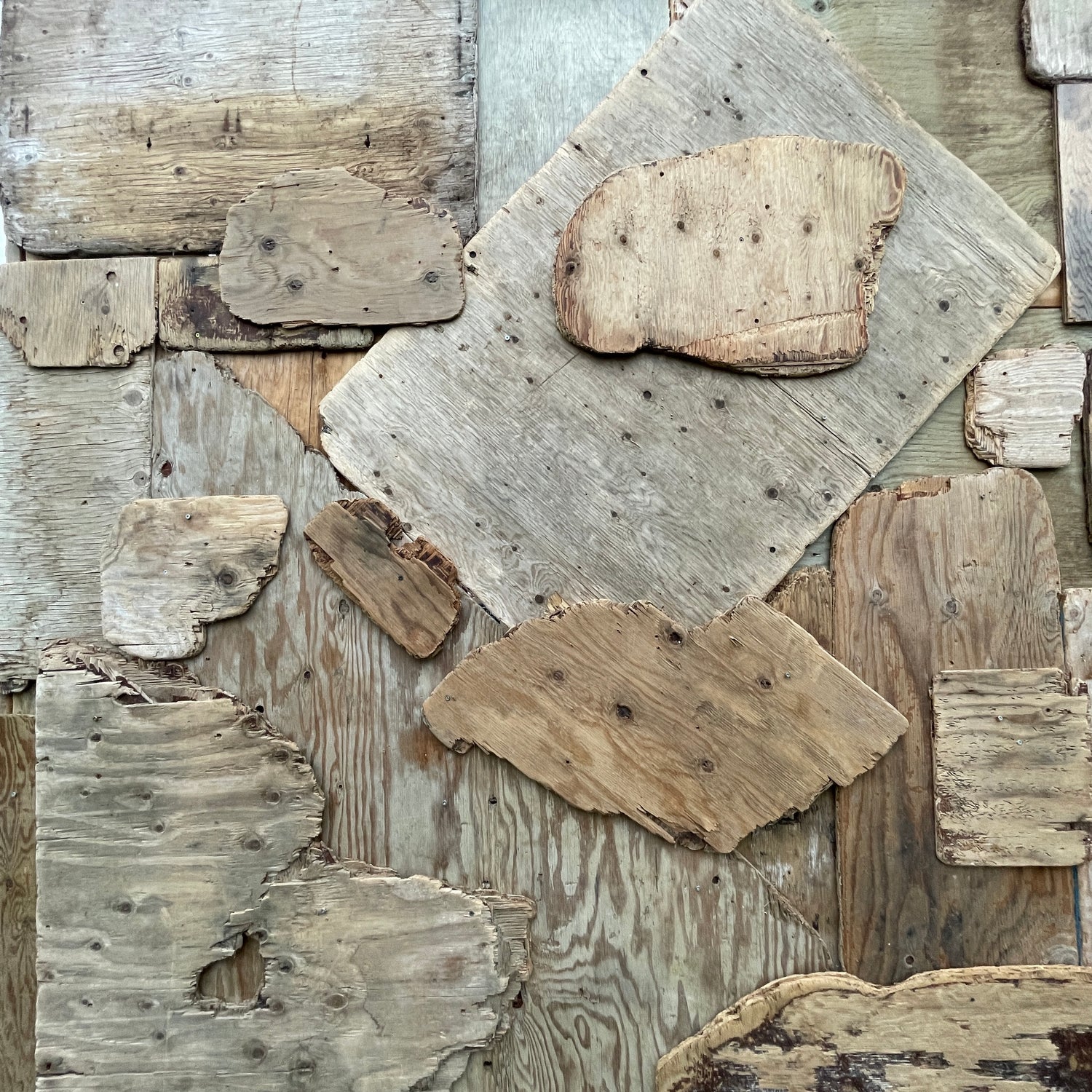 🔸  POP CULTURE SIGNS