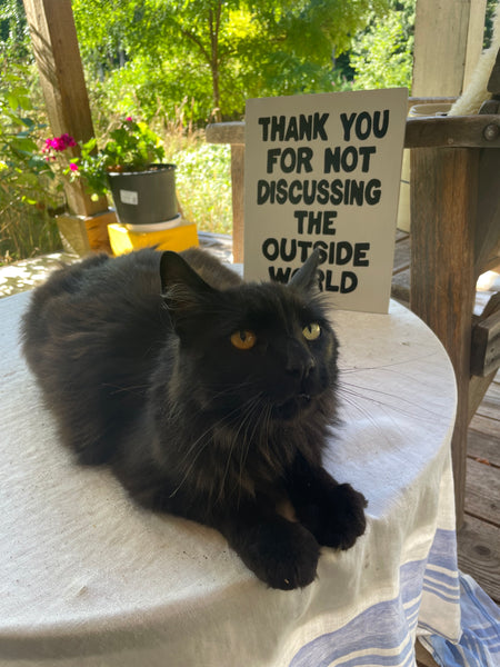 Thank You For Not Discussing The Outside World Sign | Handmade | Funny Entrance Sign | The Simpsons | Pop Culture | Comic Book Store