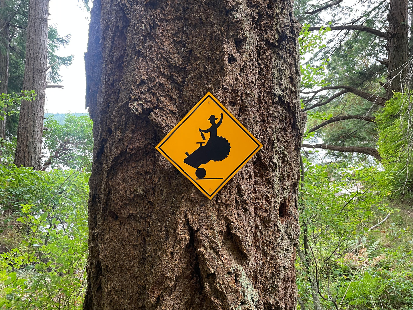 Cowboy "Bucking Bronco" Tractor Sign | Handmade | Funny Crossing Sign | Rodeo | Country and Western | Highway Road Sign