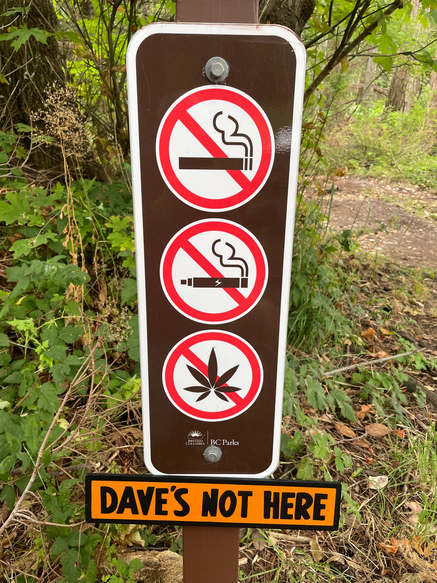 Dave's Not Here Sign | Handmade | Cheech and Chong Inspired | Pro Cannabis | Pro Weed | Marijuana | Quirky