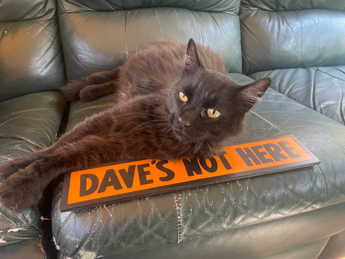 Dave's Not Here Sign | Handmade | Cheech and Chong Inspired | Pro Cannabis | Pro Weed | Marijuana | Quirky