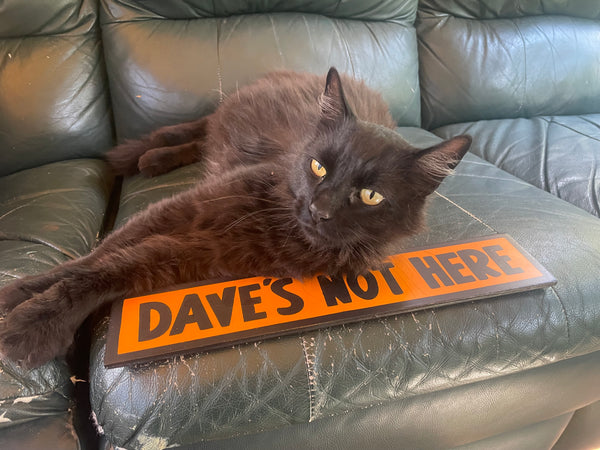 Dave's Not Here Sign | Handmade | Cheech and Chong Inspired | Pro Cannabis | Pro Weed | Marijuana | Quirky