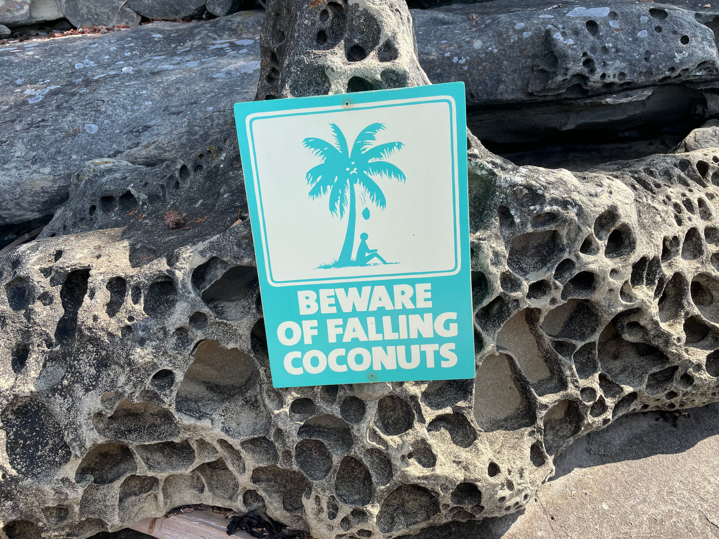 Beware of Falling Coconuts Sign | Handmade | Authentic Beach Warning Sign | Ocean and Coastal | Tiki Bar | Surfing | Diving | Tropical