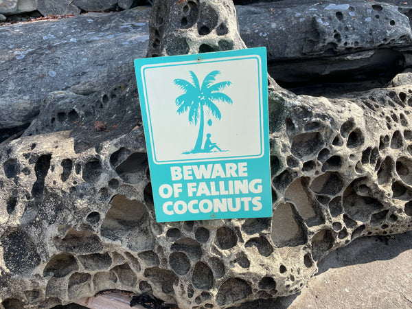 Beware of Falling Coconuts Sign | Handmade | Authentic Beach Warning Sign | Ocean and Coastal | Tiki Bar | Surfing | Diving | Tropical