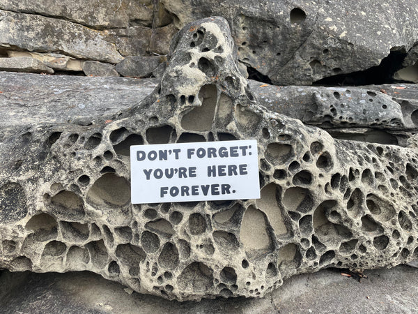 Don't Forget: You're Here Forever Sign | Handmade | The Simpsons | Funny Workplace Sign | Fun Waiting Room Decor | TV | Pop Culture | Geek