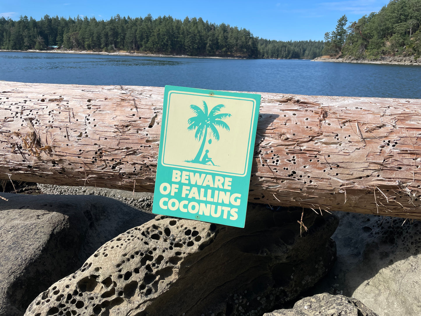 Beware of Falling Coconuts Sign | Handmade | Authentic Beach Warning Sign | Ocean and Coastal | Tiki Bar | Surfing | Diving | Tropical
