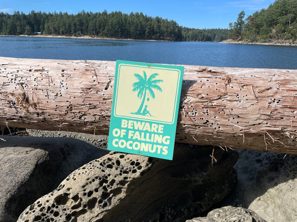 Beware of Falling Coconuts Sign | Handmade | Authentic Beach Warning Sign | Ocean and Coastal | Tiki Bar | Surfing | Diving | Tropical