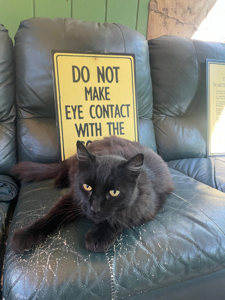 Do Not Make Eye Contact with the Gorilla Sign | Handmade | Funny Reception Area Sign | Office Humor | Boss | Receptionist