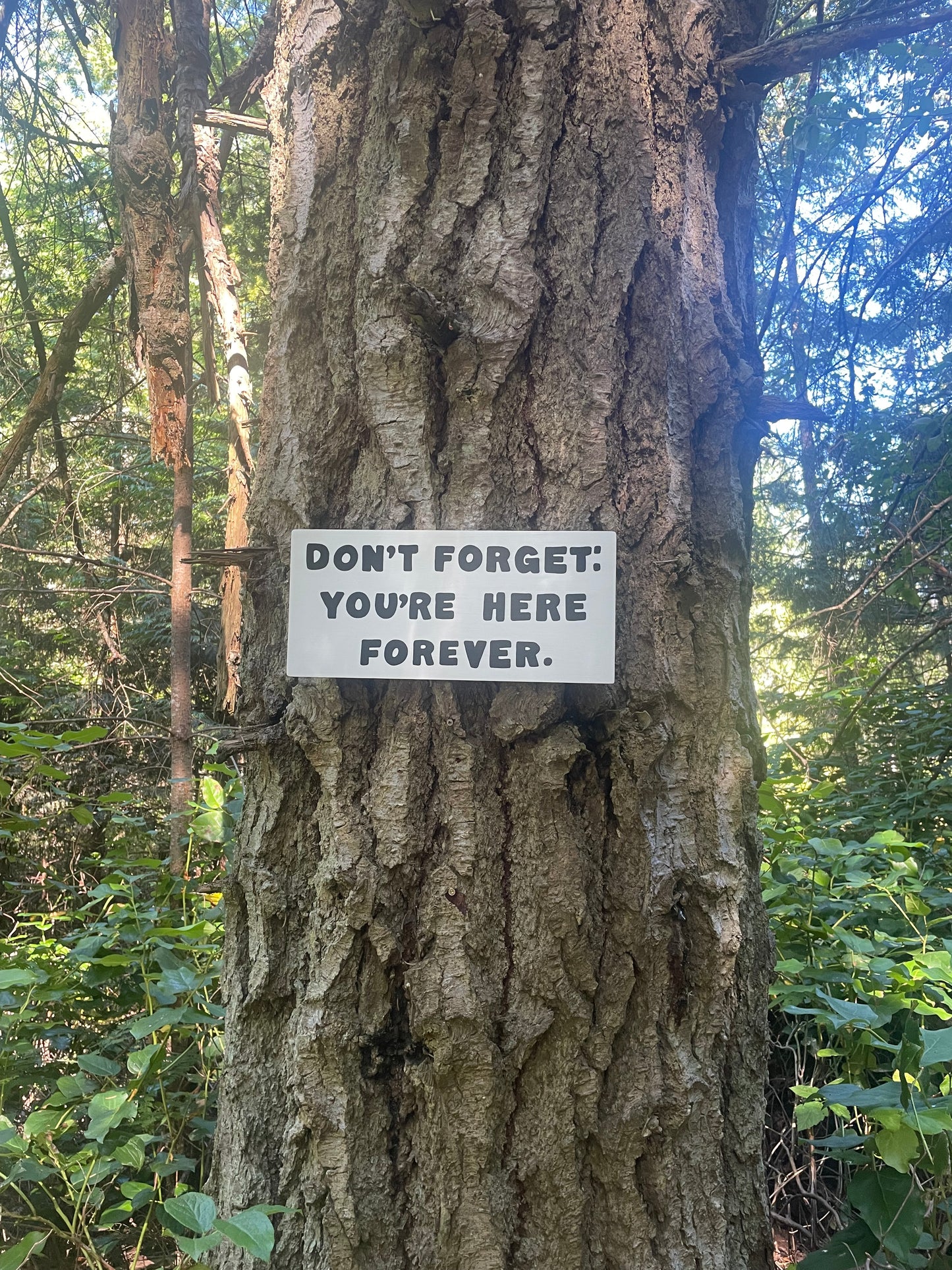 Don't Forget: You're Here Forever Sign | Handmade | The Simpsons | Funny Workplace Sign | Fun Waiting Room Decor | TV | Pop Culture | Geek