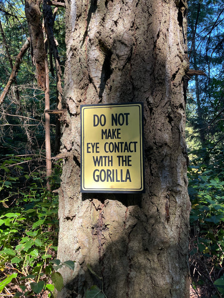 Do Not Make Eye Contact with the Gorilla Sign | Handmade | Funny Reception Area Sign | Office Humor | Boss | Receptionist