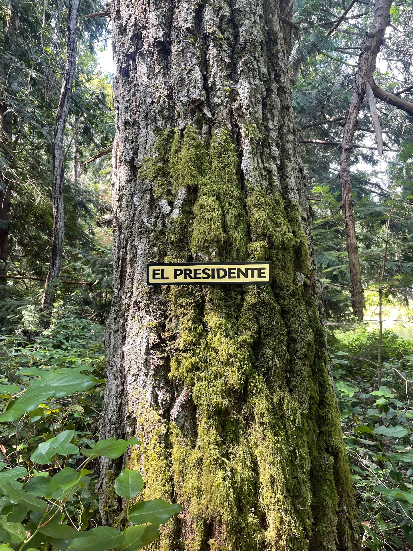 El Presidente Sign | Handmade | Funny Office Door and Desk Sign | Boss | Manager | Leadership | Political