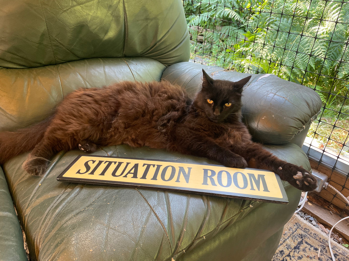 Situation Room Sign | Handmade | Funny Office and Meeting Room Sign | Conference Room | Bathroom Door | Political