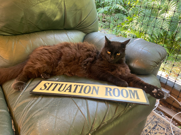 Situation Room Sign | Handmade | Funny Office and Meeting Room Sign | Conference Room | Bathroom Door | Political