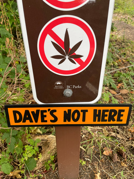 Dave's Not Here Sign | Handmade | Cheech and Chong Inspired | Pro Cannabis | Pro Weed | Marijuana | Quirky