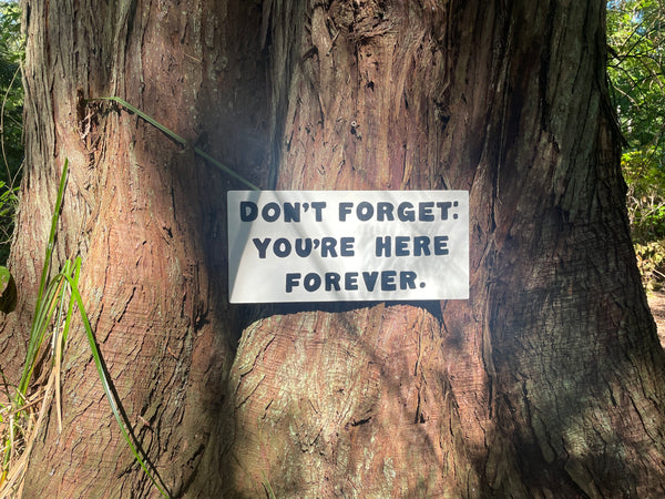 Don't Forget: You're Here Forever Sign | Handmade | The Simpsons | Funny Workplace Sign | Fun Waiting Room Decor | TV | Pop Culture | Geek