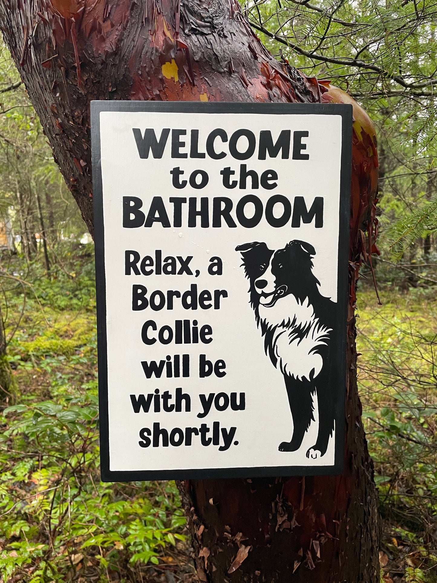 Border Collie Bathroom Sign | Handmade | Funny Dog Bathroom Sign | "Welcome to the Bathroom, Relax, a Border Collie will be with you Shortly"