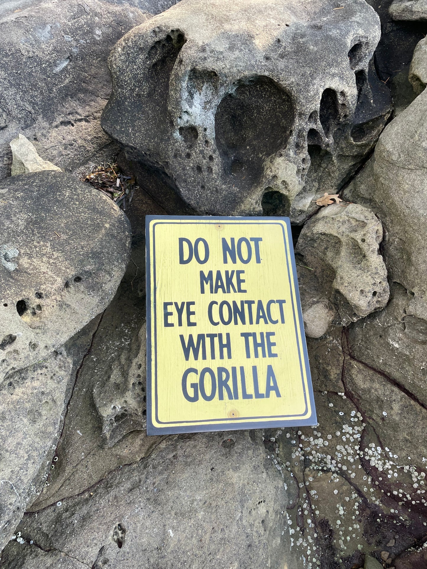 Do Not Make Eye Contact with the Gorilla Sign | Handmade | Funny Reception Area Sign | Office Humor | Boss | Receptionist