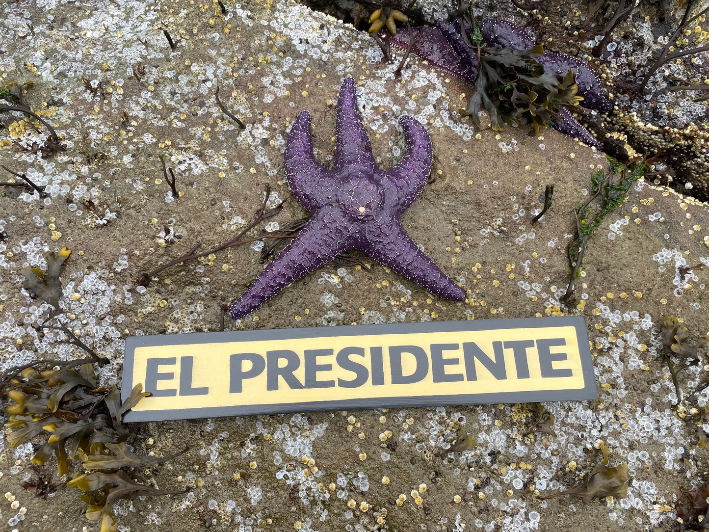 El Presidente Sign | Handmade | Funny Office Door and Desk Sign | Boss | Manager | Leadership | Political