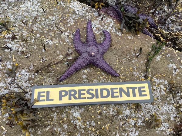 El Presidente Sign | Handmade | Funny Office Door and Desk Sign | Boss | Manager | Leadership | Political
