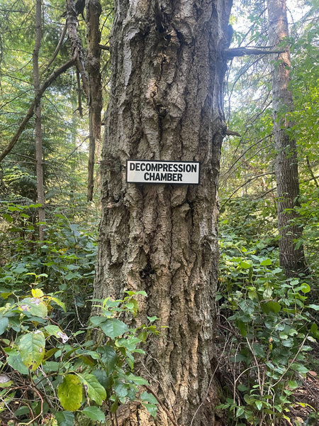 Decompression Chamber Sign | Handmade | Funny Dive Shop Sign | Scuba diver | Sauna | Chill Out Area