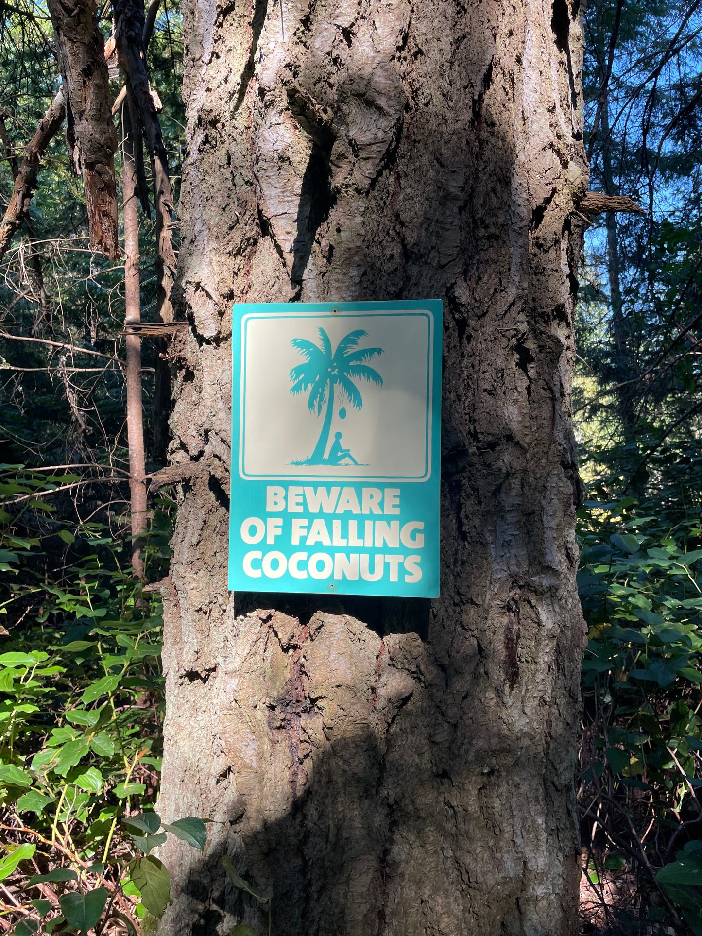 Beware of Falling Coconuts Sign | Handmade | Authentic Beach Warning Sign | Ocean and Coastal | Tiki Bar | Surfing | Diving | Tropical