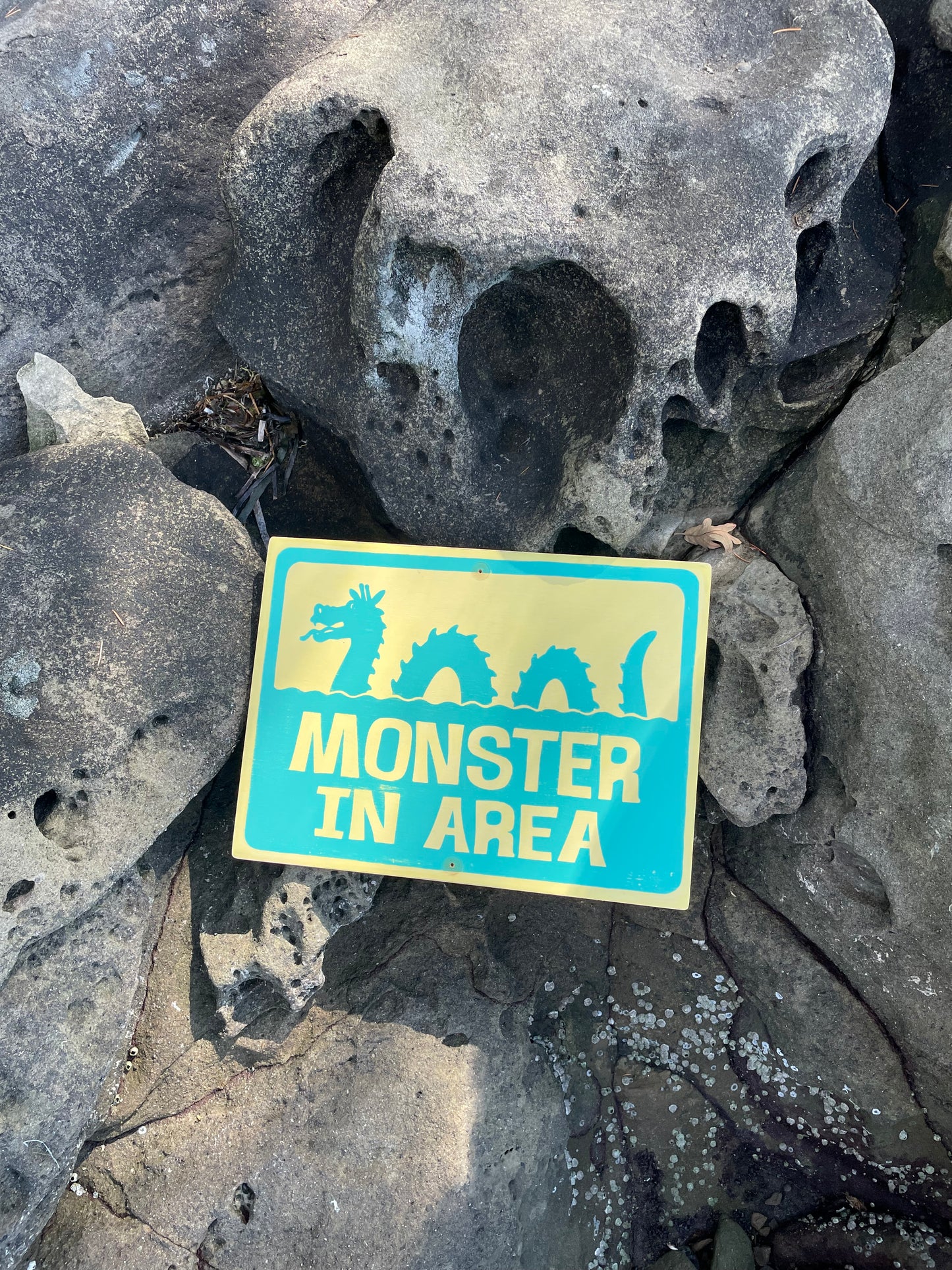 Monster In Area Sign | Handmade | Ogopogo | Loch Ness monster | Mythical Creature | Pool and Hot tub décor | Ocean | Beach | Lake