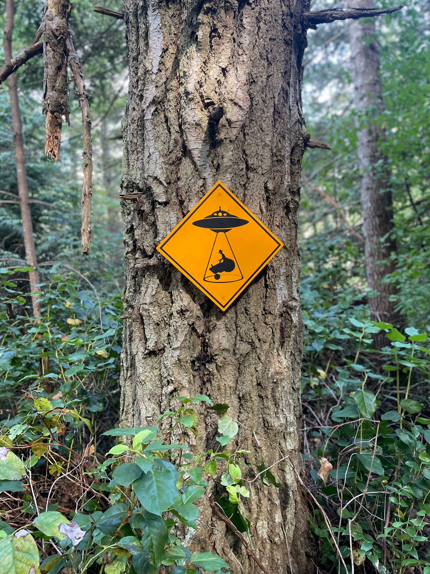 Farmer in a Tractor Beam Sign | Handmade | Funny Alien Abduction Farm Sign | Homesteader | Science Fiction |  Sci-Fi