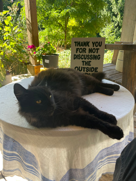 Thank You For Not Discussing The Outside World Sign | Handmade | Funny Entrance Sign | The Simpsons | Pop Culture | Comic Book Store