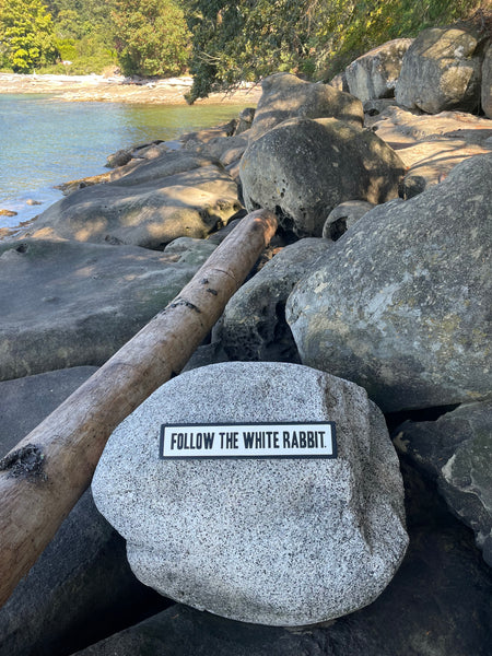 Follow the White Rabbit Sign | Handmade | Alice in Wonderland | The Matrix | Whimsical décor | Fantasy | Dark Academia