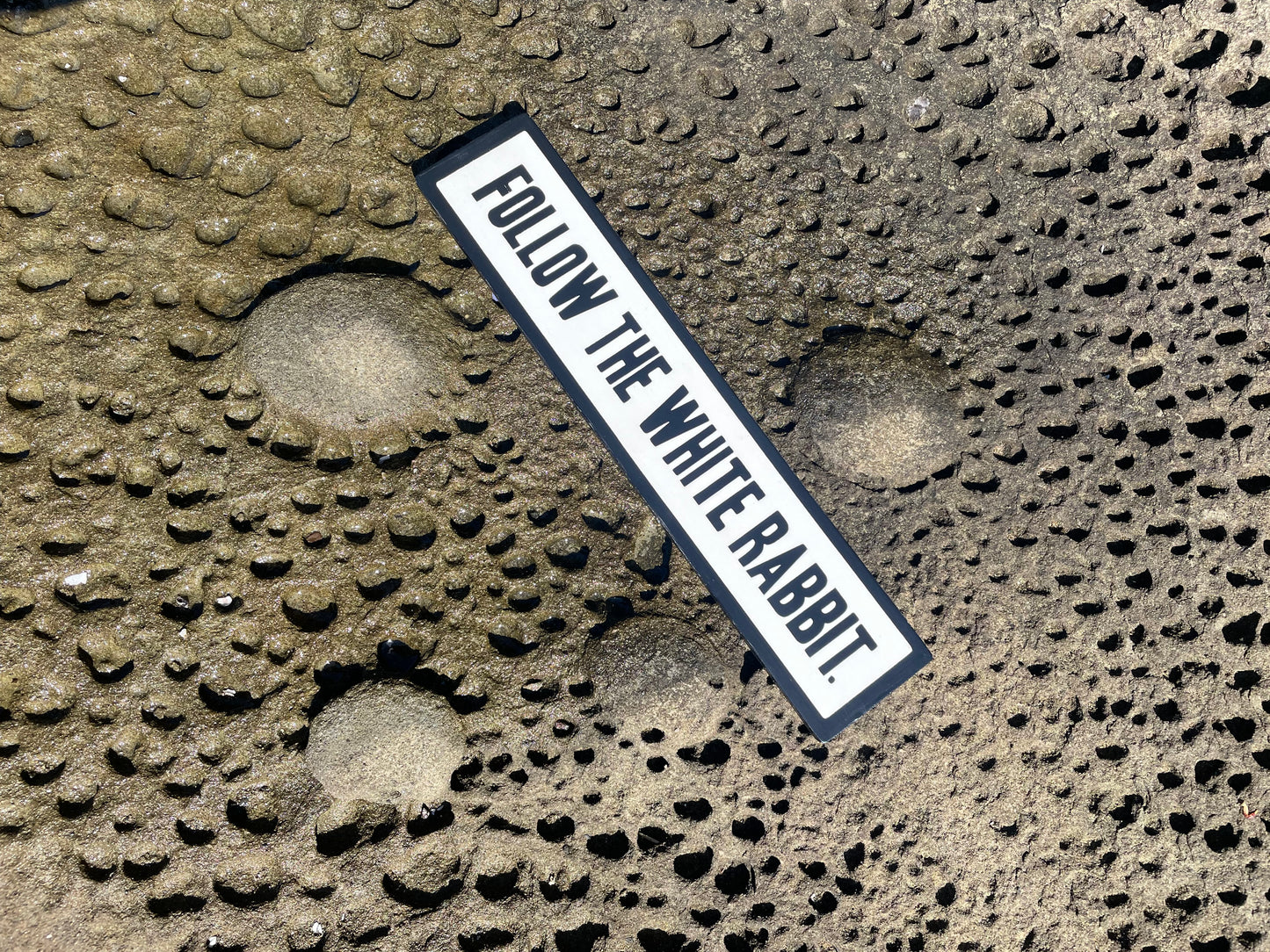 Follow the White Rabbit Sign | Handmade | Alice in Wonderland | The Matrix | Whimsical décor | Fantasy | Dark Academia