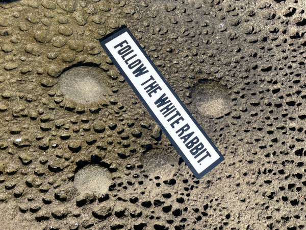 Follow the White Rabbit Sign | Handmade | Alice in Wonderland | The Matrix | Whimsical décor | Fantasy | Dark Academia