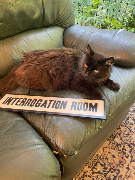 Interrogation Room Sign | Handmade | Office Door | Funny Bathroom Sign | True Crime | Mystery Theme Decor | Police Station Prop