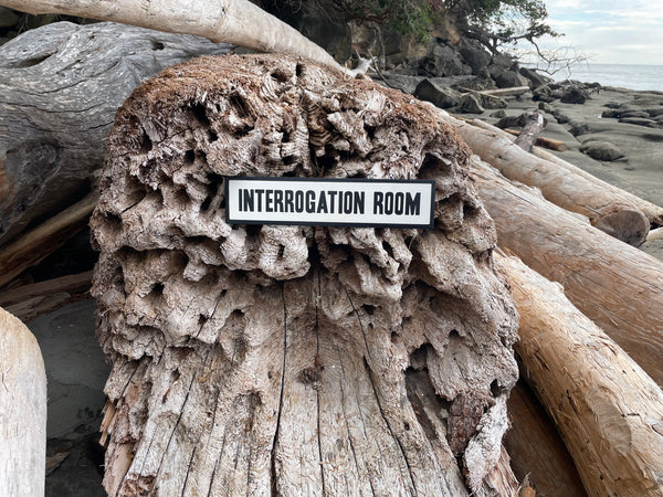 Interrogation Room Sign | Handmade | Office Door | Funny Bathroom Sign | True Crime | Mystery Theme Decor | Police Station Prop