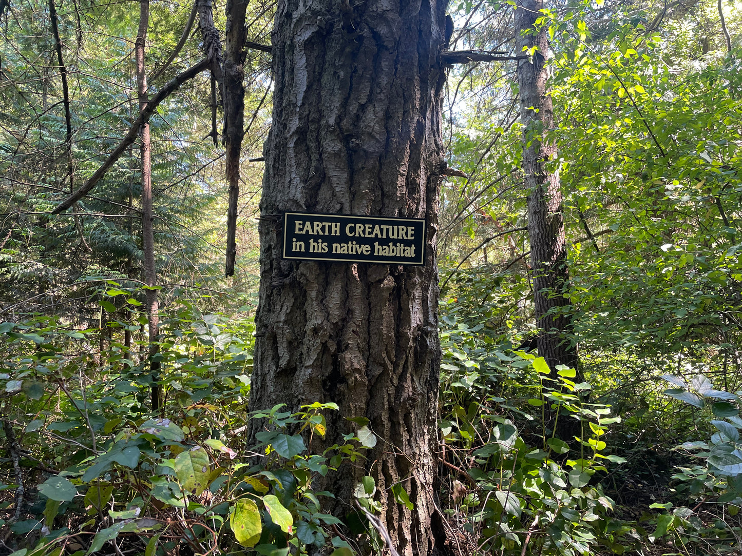 Earth Creature in His Natural Habitat Sign | Handmade | The Twilight Zone | TV Prop Replica | Retro Sci-Fi Theme | Science Fiction Décor