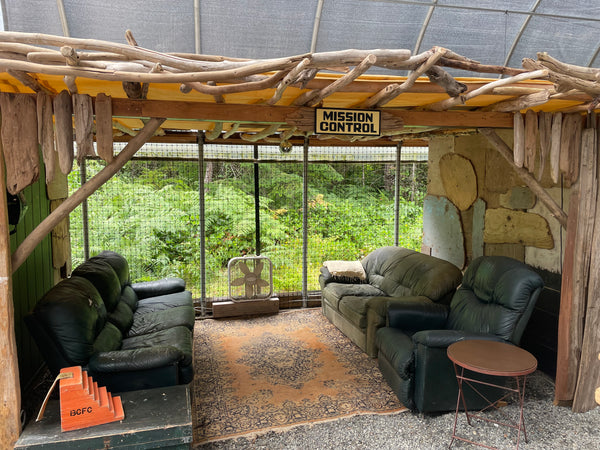 Mission Control Sign | Handmade | Funny Meeting Room and Office Door Sign | Bathroom | Space Theme Decor | Conference Room Door