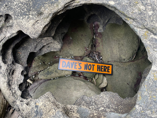 Dave's Not Here Sign | Handmade | Cheech and Chong Inspired | Pro Cannabis | Pro Weed | Marijuana | Quirky