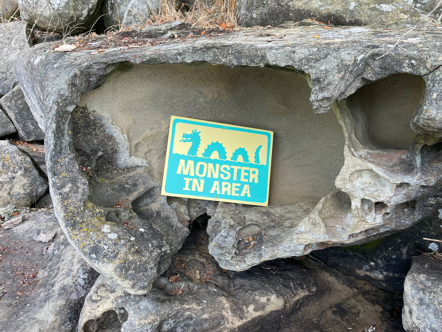 Monster In Area Sign | Handmade | Ogopogo | Loch Ness monster | Mythical Creature | Pool and Hot tub décor | Ocean | Beach | Lake