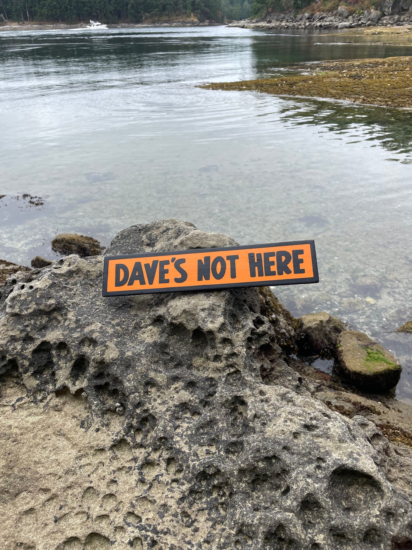 Dave's Not Here Sign | Handmade | Cheech and Chong Inspired | Pro Cannabis | Pro Weed | Marijuana | Quirky