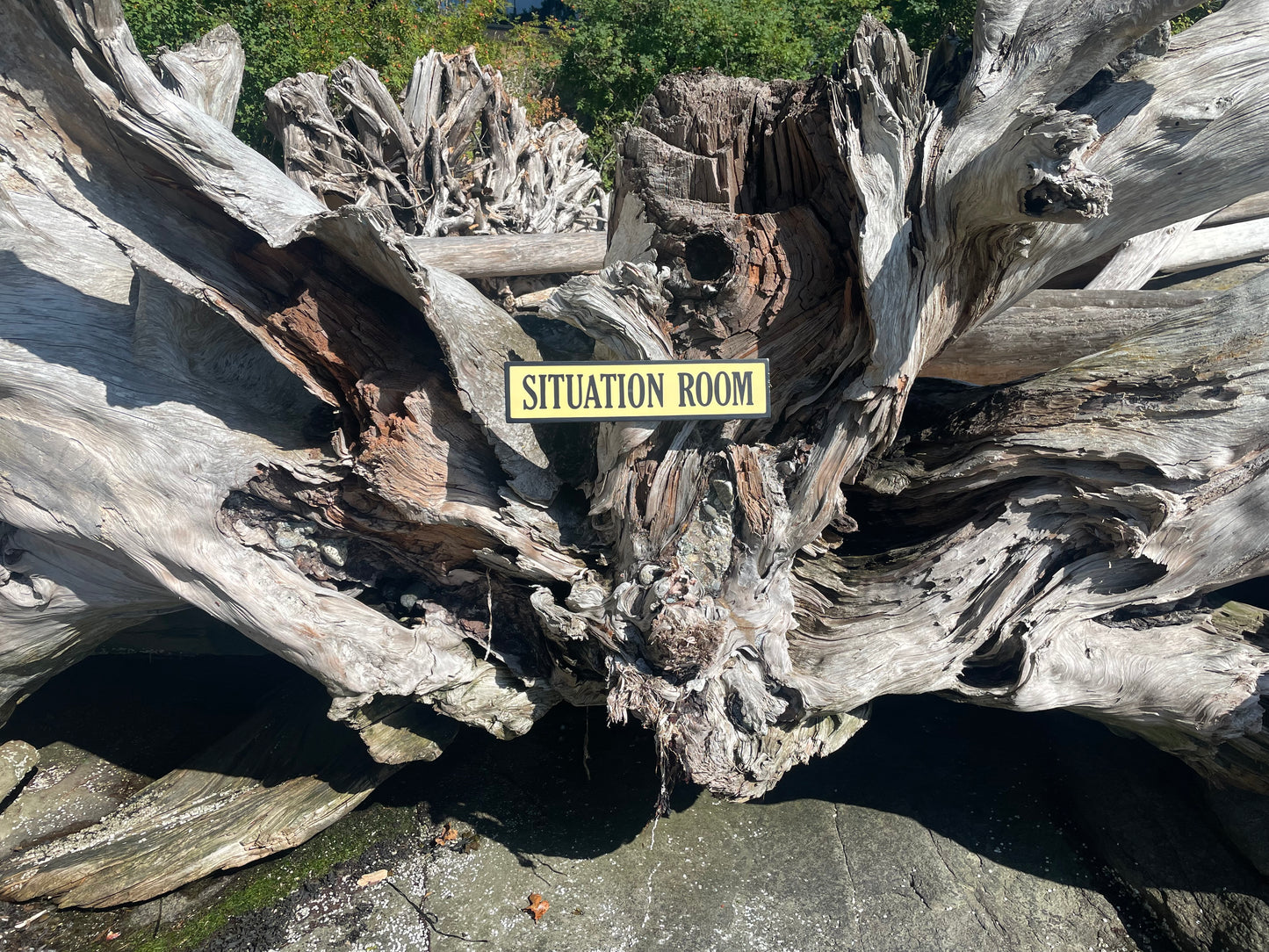 Situation Room Sign | Handmade | Funny Office and Meeting Room Sign | Conference Room | Bathroom Door | Political