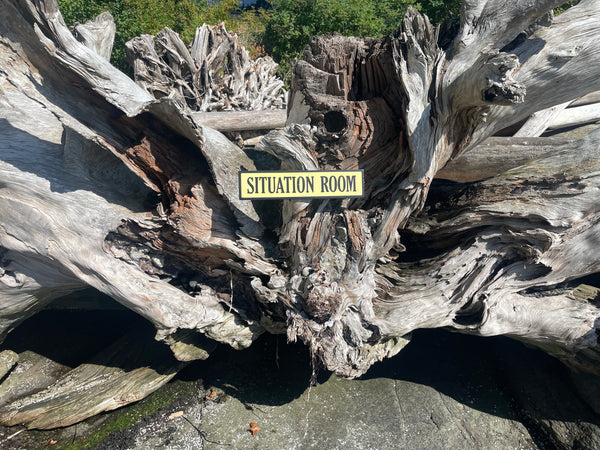 Situation Room Sign | Handmade | Funny Office and Meeting Room Sign | Conference Room | Bathroom Door | Political