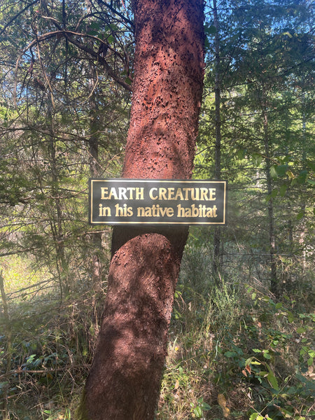 Earth Creature in His Natural Habitat Sign | Handmade | The Twilight Zone | TV Prop Replica | Retro Sci-Fi Theme | Science Fiction Décor