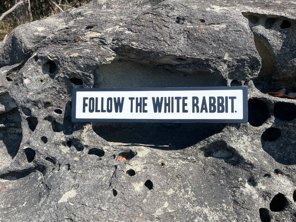 Follow the White Rabbit Sign | Handmade | Alice in Wonderland | The Matrix | Whimsical décor | Fantasy | Dark Academia