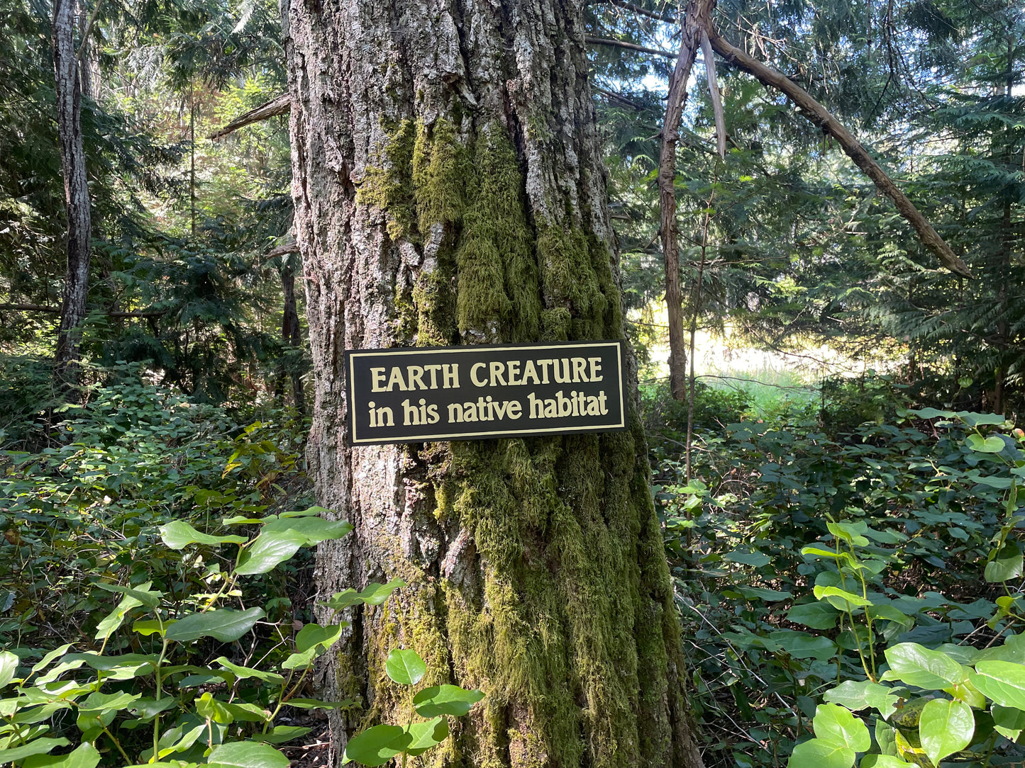 Earth Creature in His Natural Habitat Sign | Handmade | The Twilight Zone | TV Prop Replica | Retro Sci-Fi Theme | Science Fiction Décor