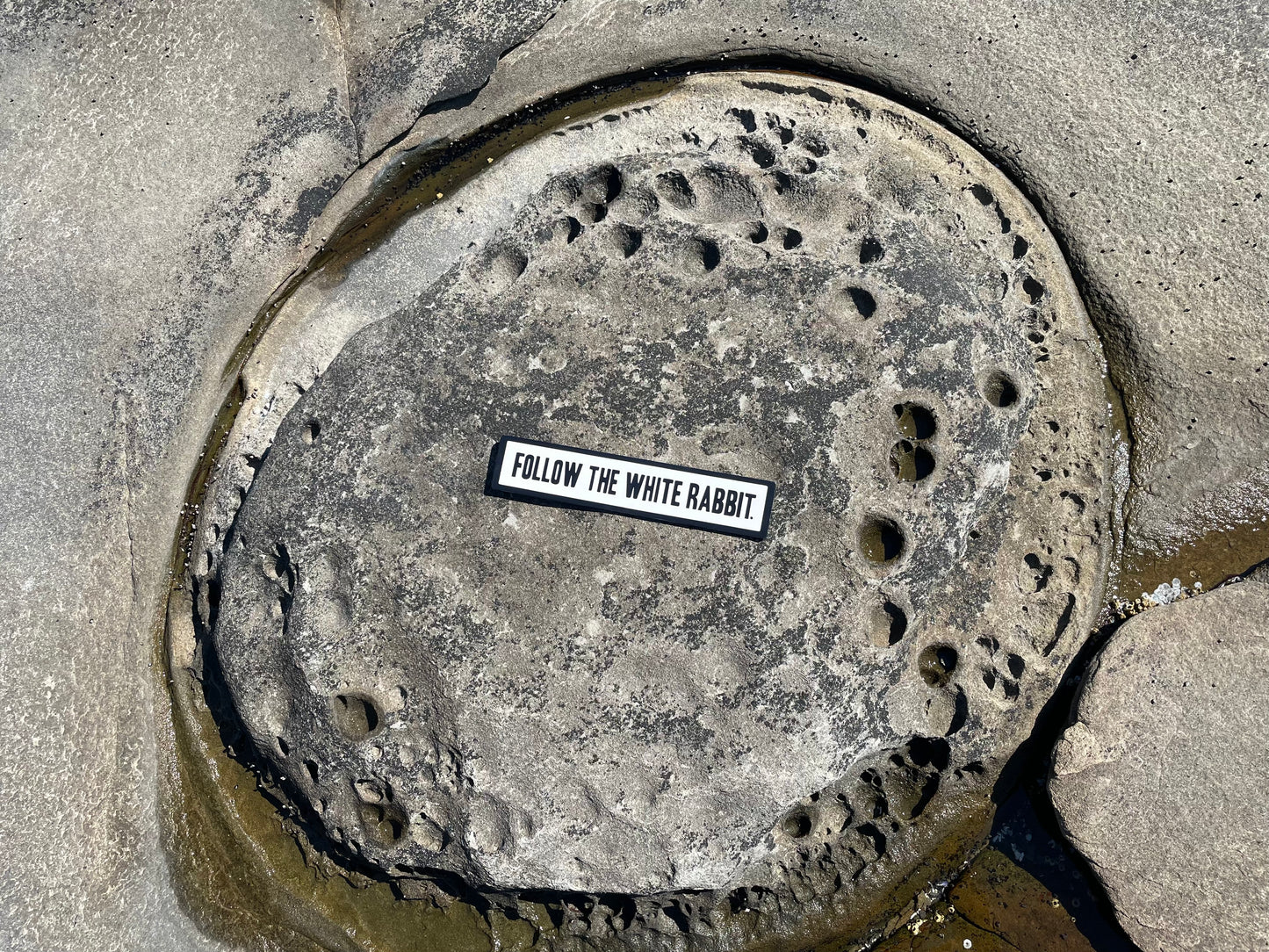 Follow the White Rabbit Sign | Handmade | Alice in Wonderland | The Matrix | Whimsical décor | Fantasy | Dark Academia