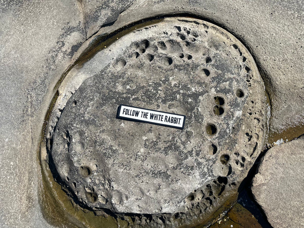 Follow the White Rabbit Sign | Handmade | Alice in Wonderland | The Matrix | Whimsical décor | Fantasy | Dark Academia