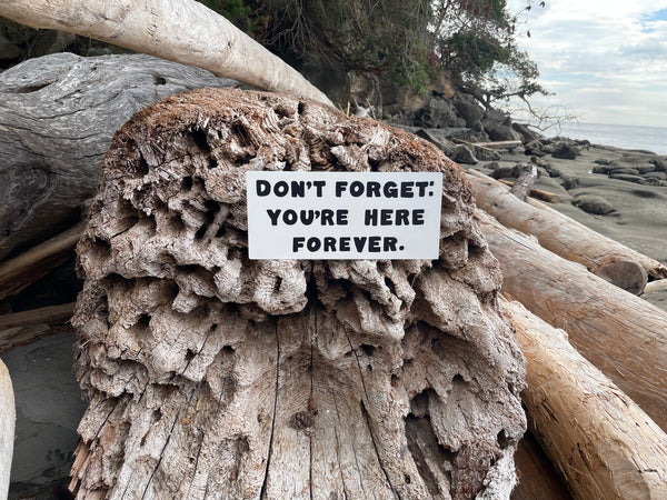 Don't Forget: You're Here Forever Sign | Handmade | The Simpsons | Funny Workplace Sign | Fun Waiting Room Decor | TV | Pop Culture | Geek