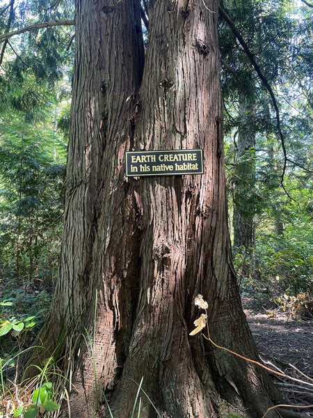 Earth Creature in His Natural Habitat Sign | Handmade | The Twilight Zone | TV Prop Replica | Retro Sci-Fi Theme | Science Fiction Décor