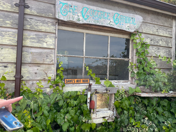 Dave's Not Here Sign | Handmade | Cheech and Chong Inspired | Pro Cannabis | Pro Weed | Marijuana | Quirky