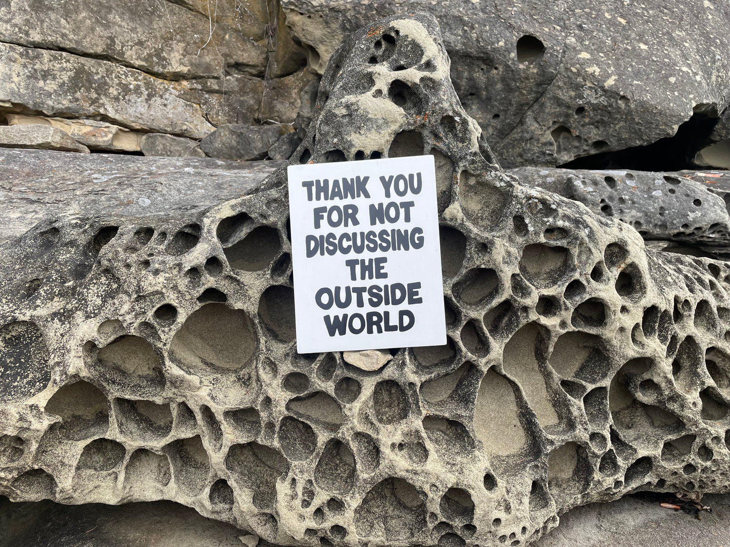 Thank You For Not Discussing The Outside World Sign | Handmade | Funny Entrance Sign | The Simpsons | Pop Culture | Comic Book Store